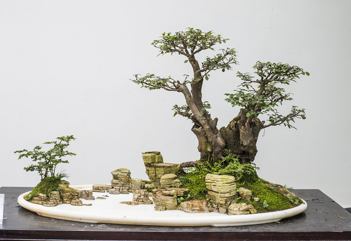 四川省哪里的中专学校比较好用