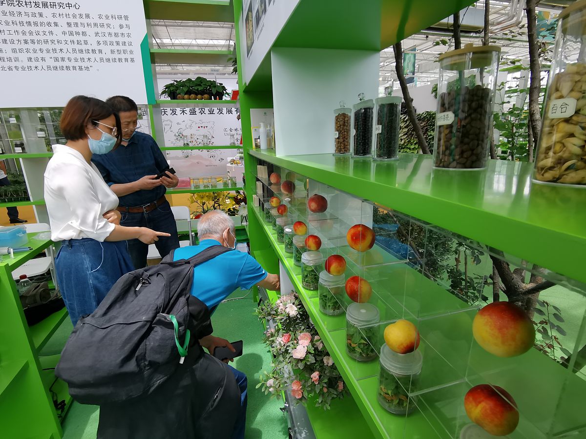 中国农业大学科技小院：助力科技创新与创业