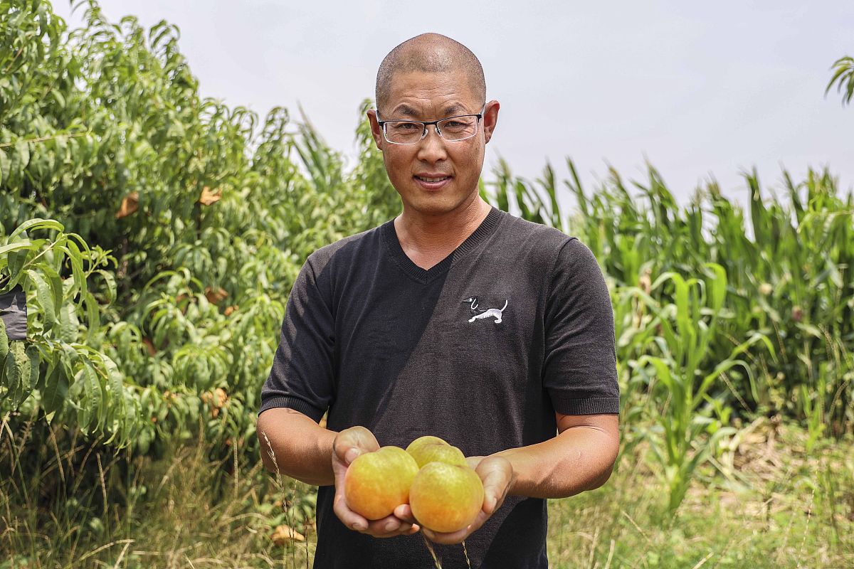 云南曲靖农业学校初中起点大学招生 | 2019年招生信息 云南曲靖农业学校初中起点大学招生 | 2019年招生信息