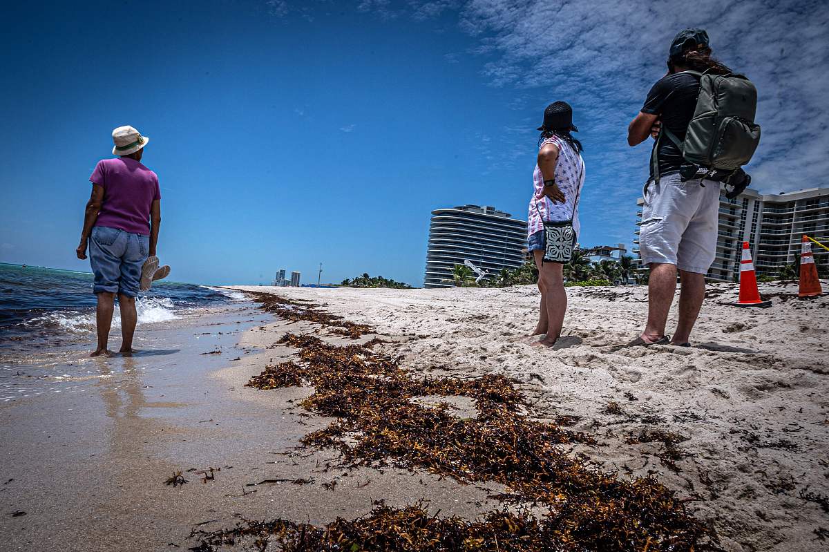 一个数的小数点向右移动两位比原数大1188原数是多少