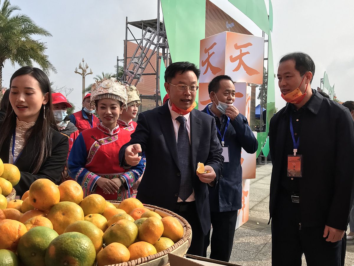 阐述300字：百色芒果田东芒果文化节旅游开发应当与其他旅游资源联动开发