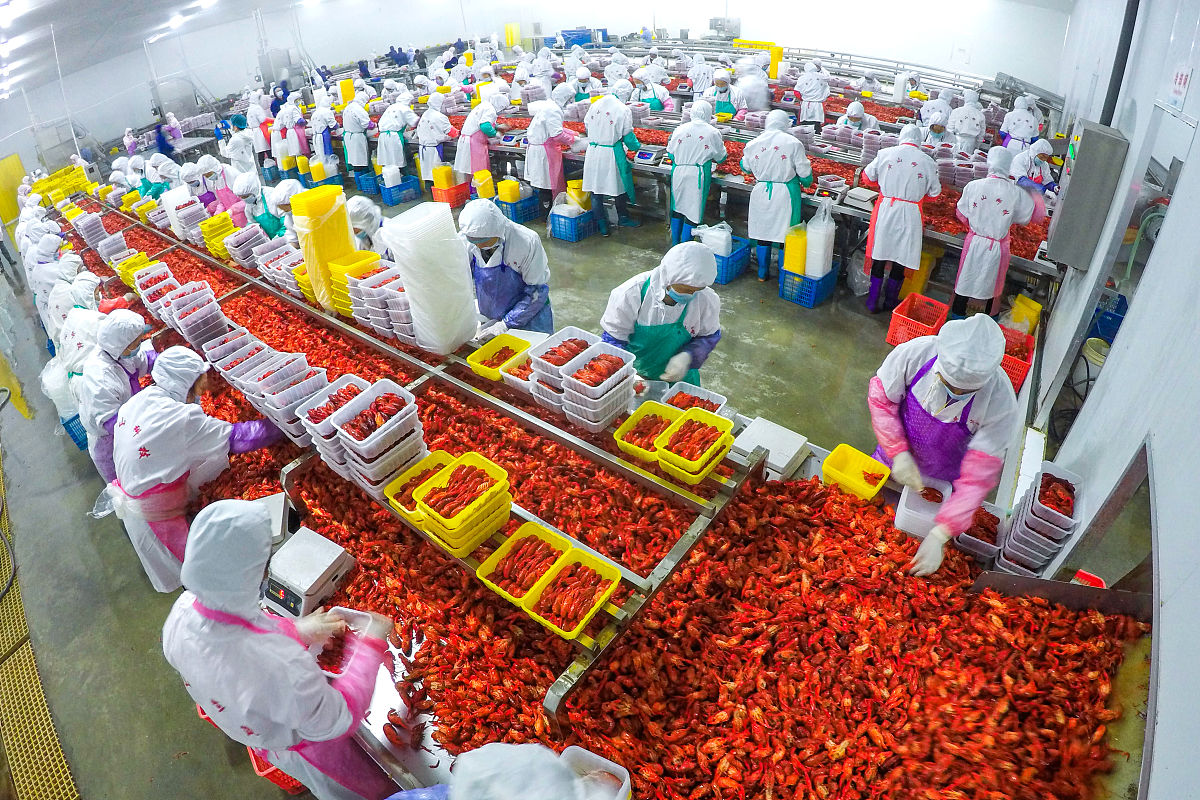 四川城市职业学校学前教育专业就业前景分析