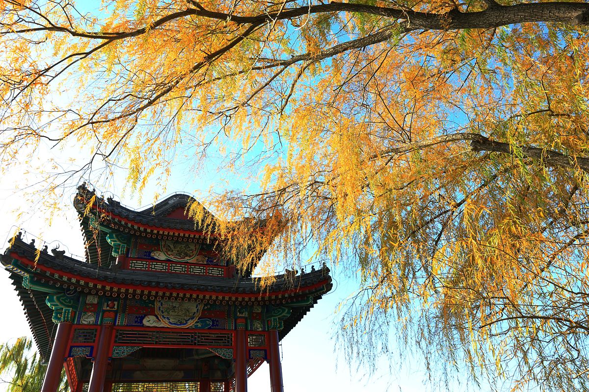 2017年11月8日,北京,立冬次日晨光中的颐和园静美如画.