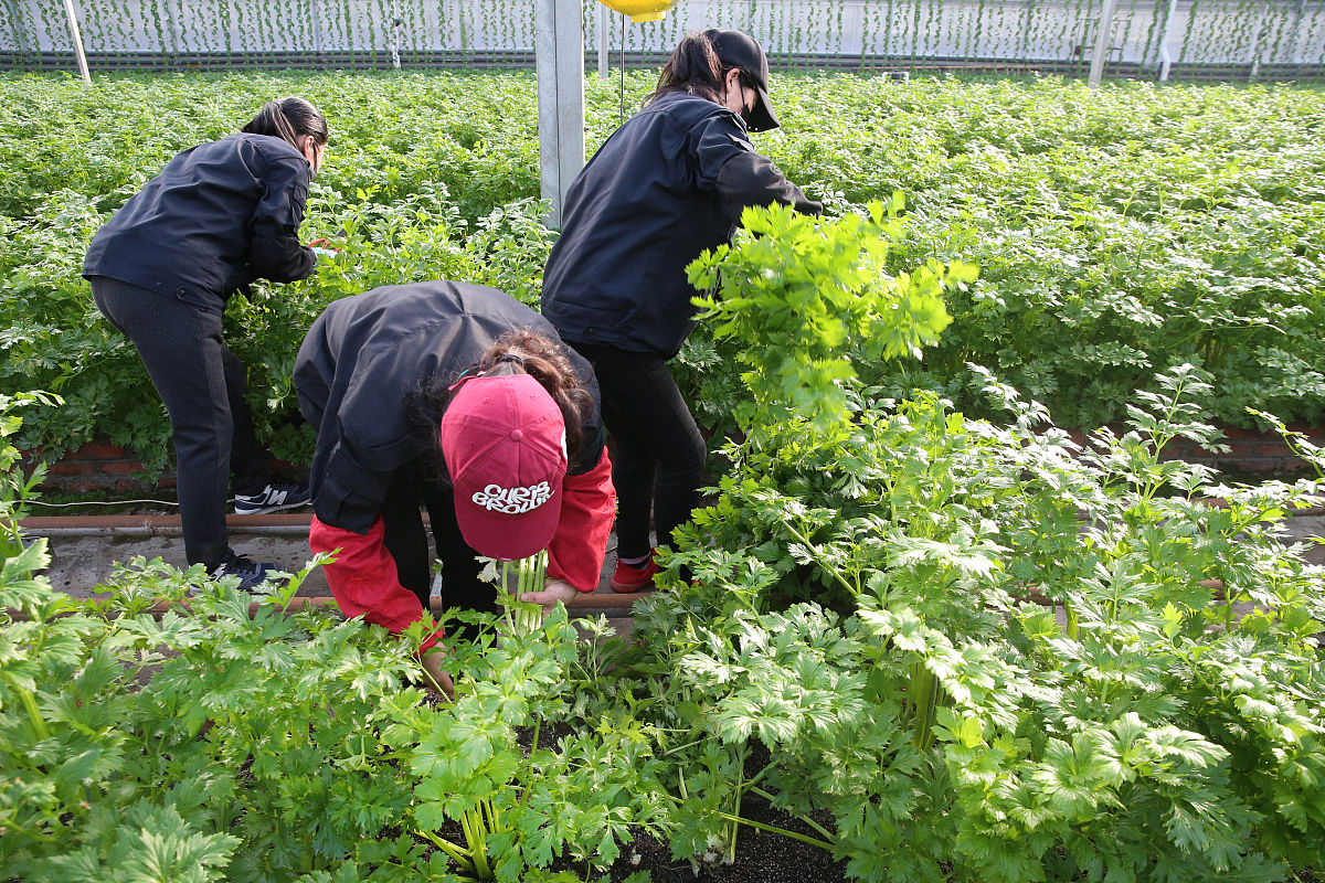 广东海洋大学农学专业怎么样
