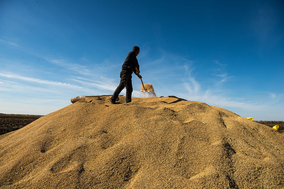 黑龙江农业经济职业学院食品加工技术专业怎么样？课程设置及未来发展