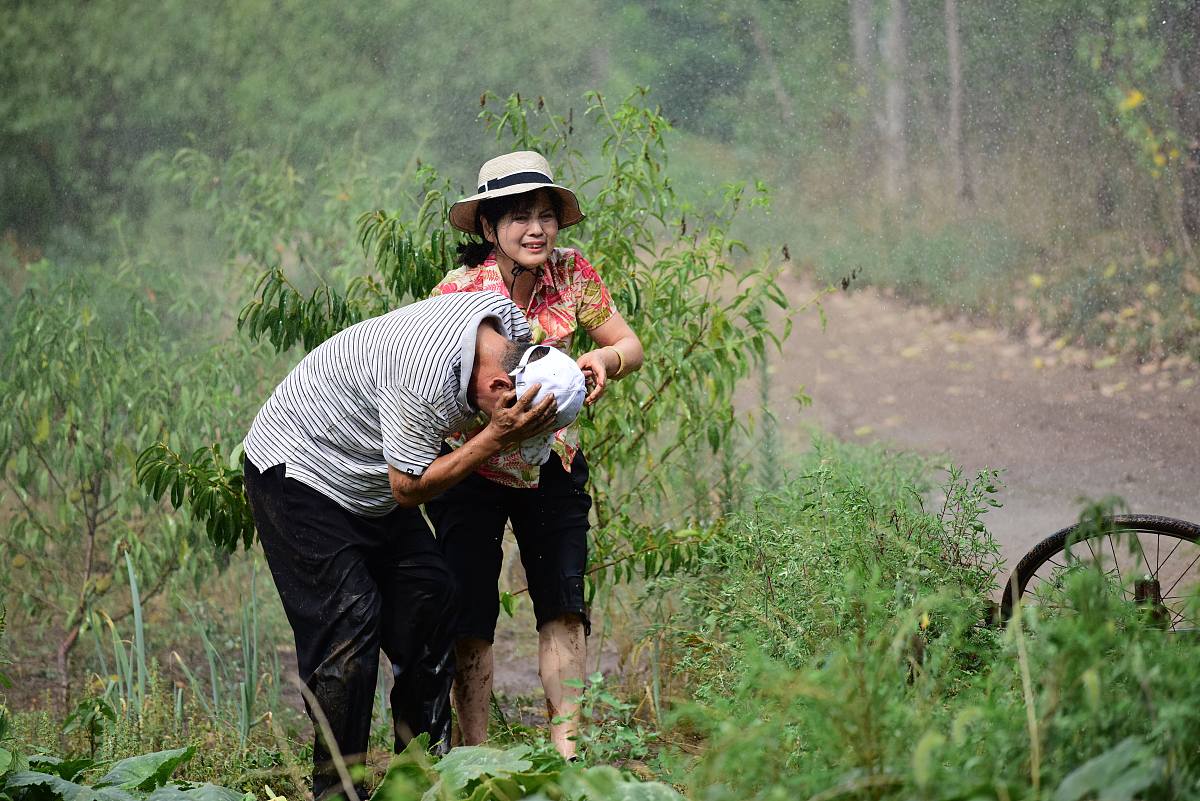 农村生活趣事：从清晨到夜晚，爆笑不断！