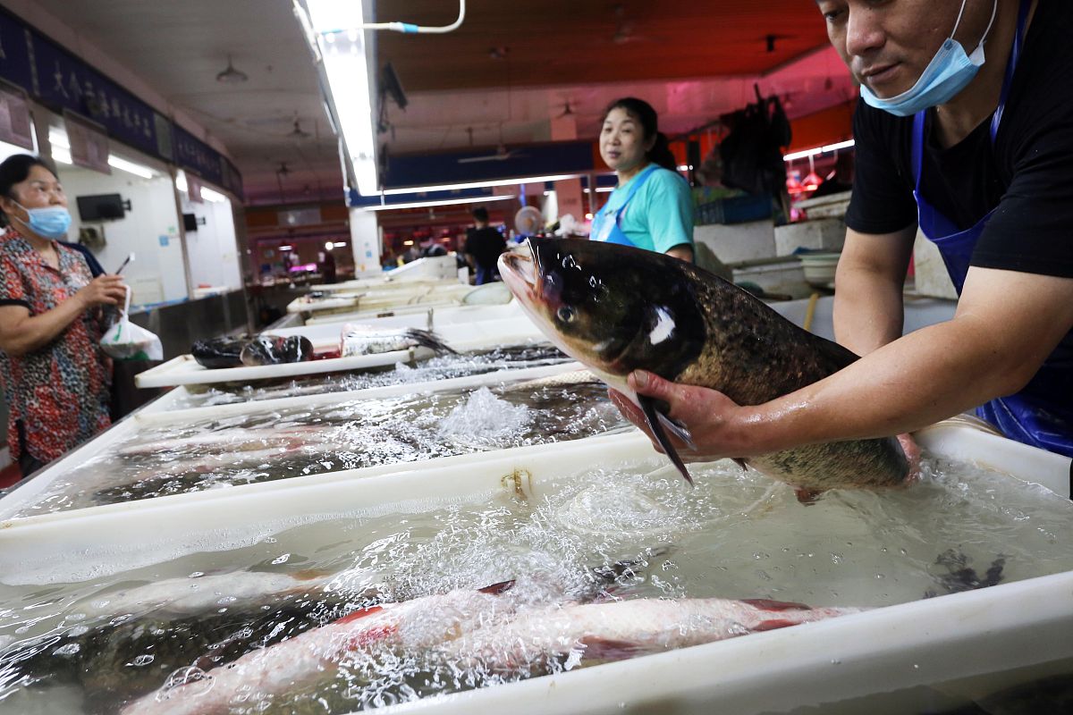 清江鱼供应短缺，我市水产公司如何应对？