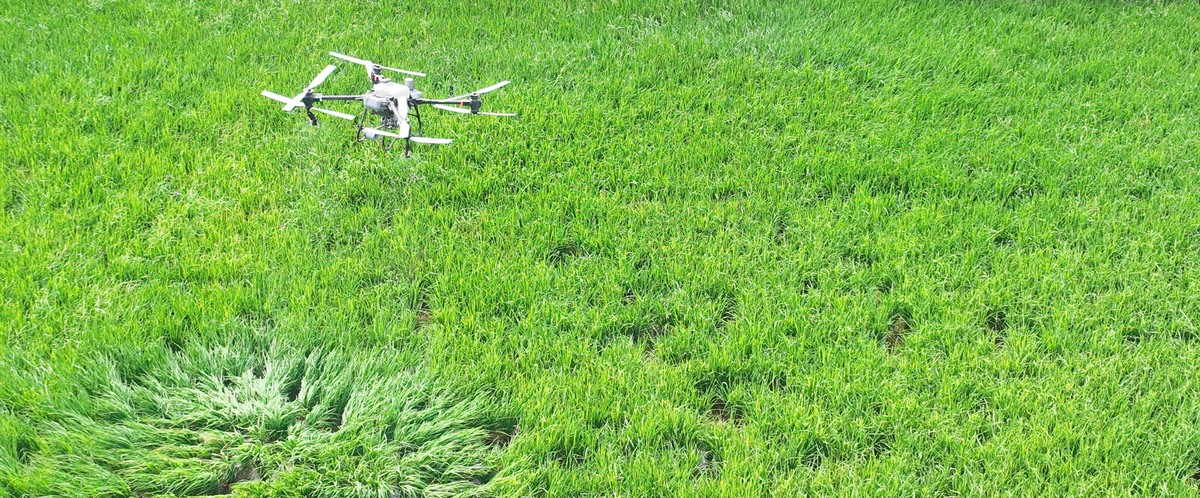重庆农业机械化学校航空服务是什么办学层次的