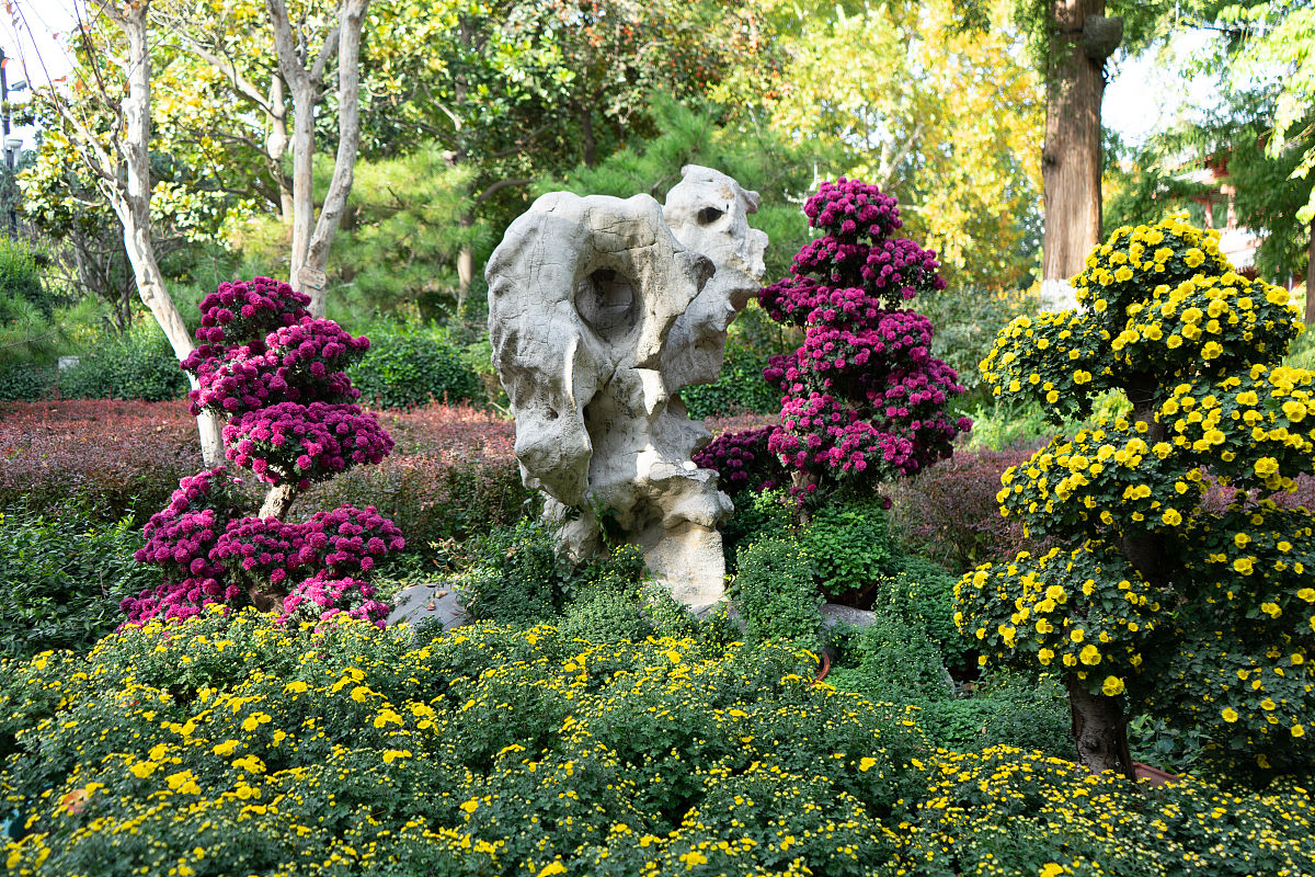 描述瘦西湖的景观植物配置