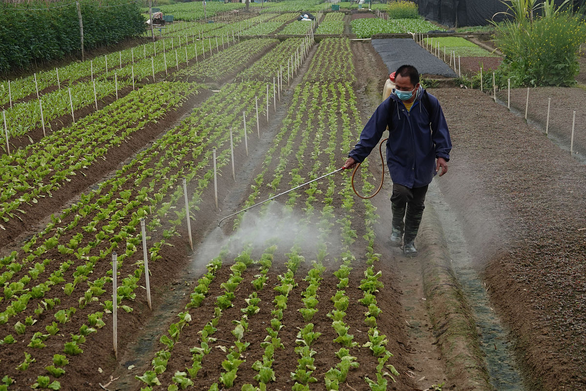 农业措施如何控制有害生物？减轻和加重为害的措施有哪些？