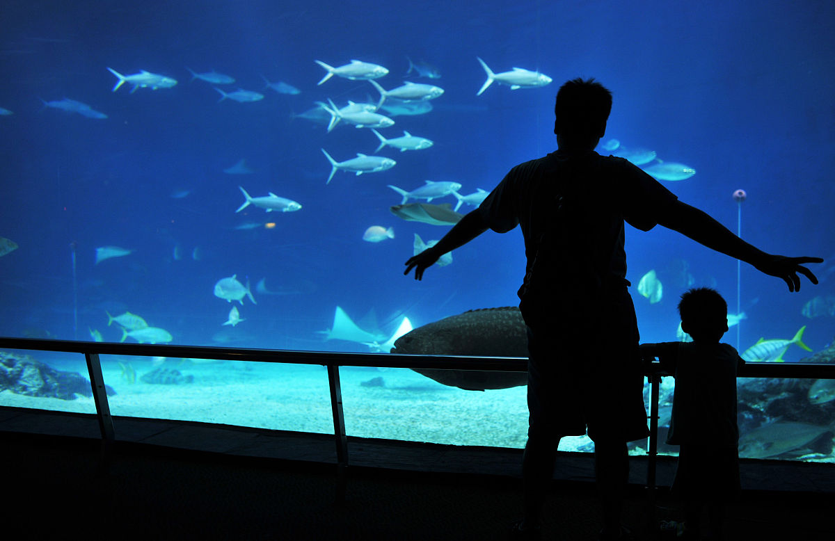 杭州华东服装学校民族民居装饰就业方向-前景广阔，未来可期