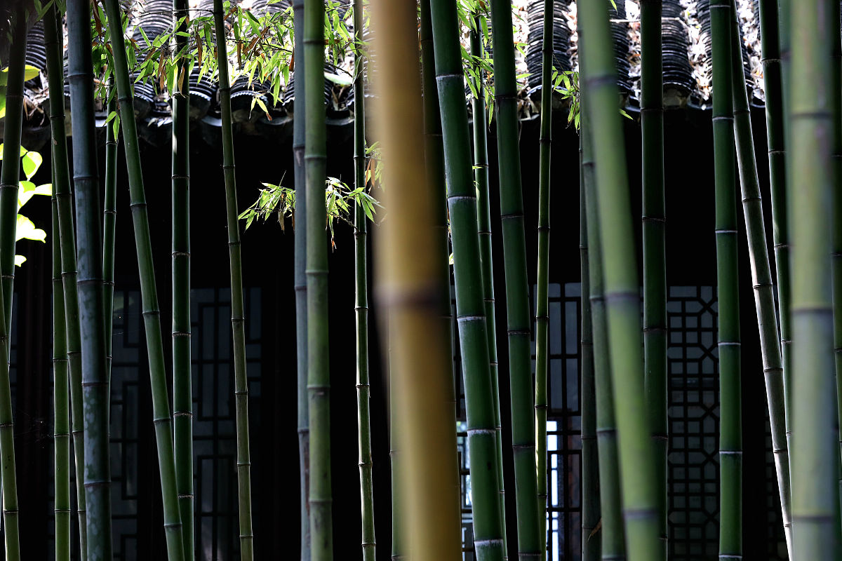 永州职业技术学院园林技术专业课程设置有哪些