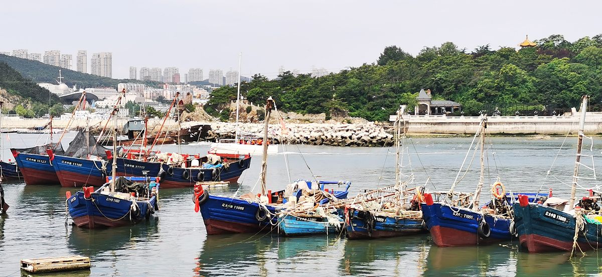 2020年7月13日,辽宁省大连市一停满渔船的港湾.
