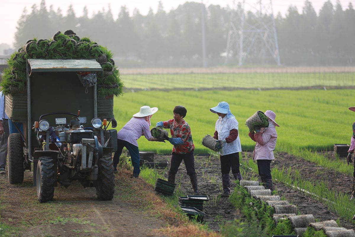 泸西县农业机械化技术学校：培养农业机械化人才，助力农业发展