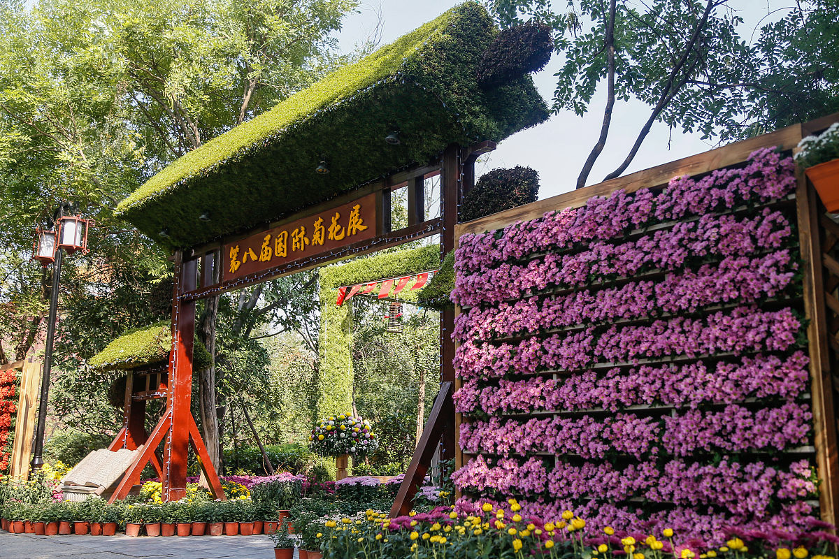 山东淄博工业学校旅游获得哪些荣誉