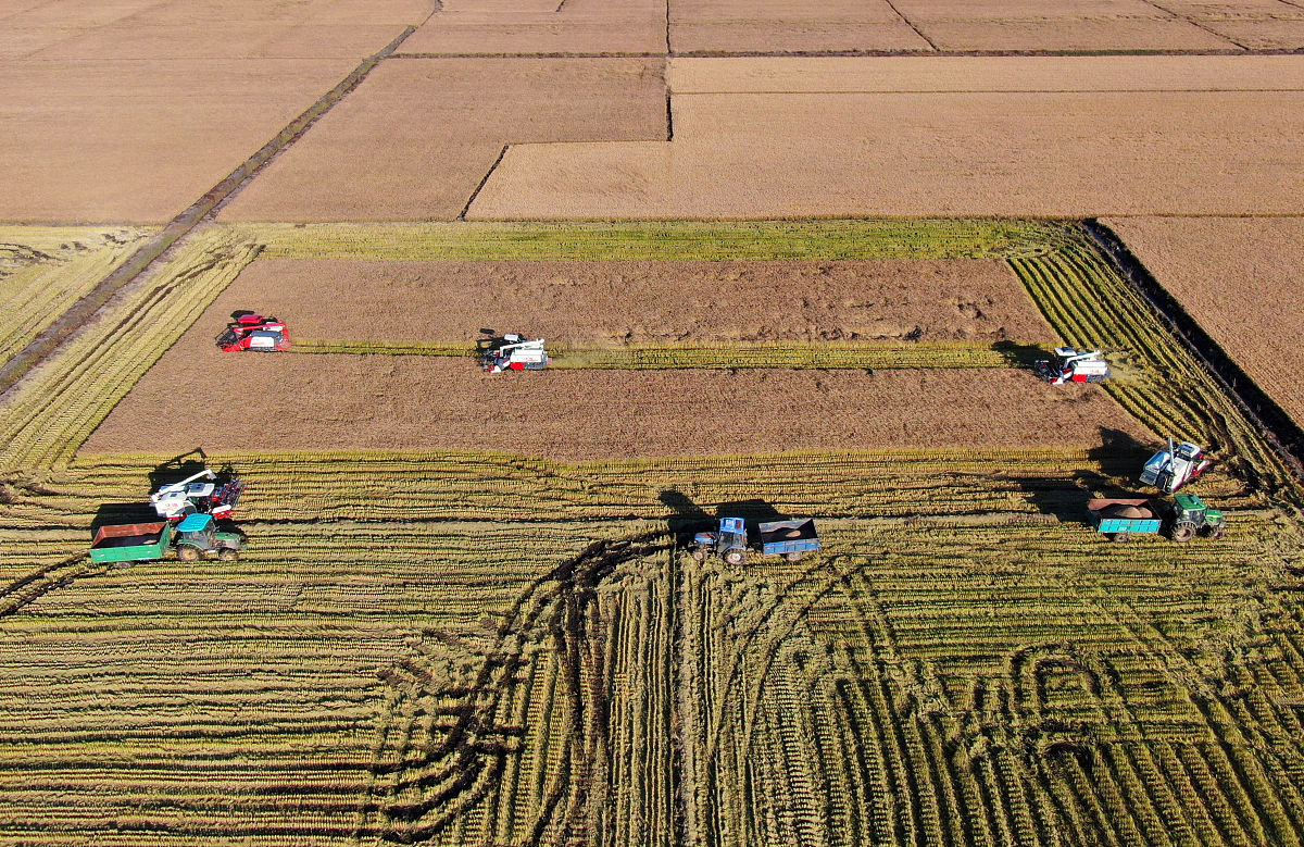 黑龙江农垦科技职业学院旅游管理专业就业前景如何