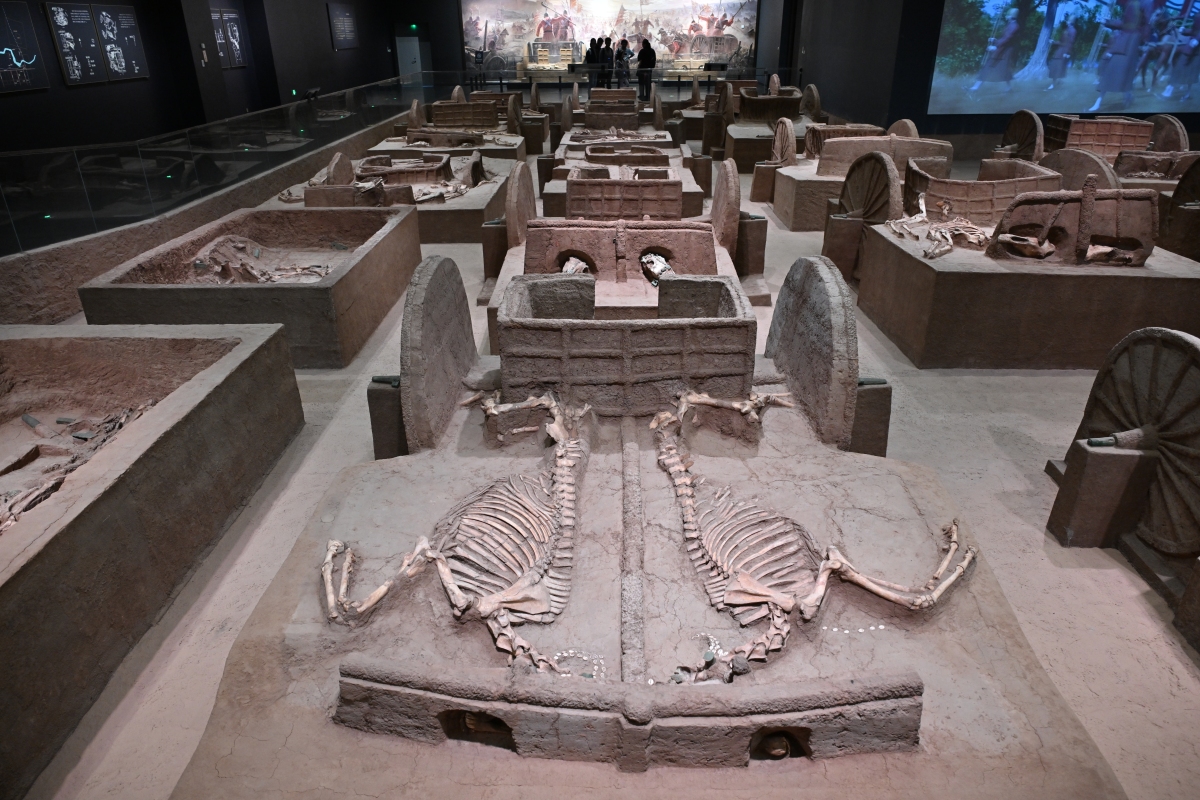 探秘金沙遗址：4000年文明的璀璨印记