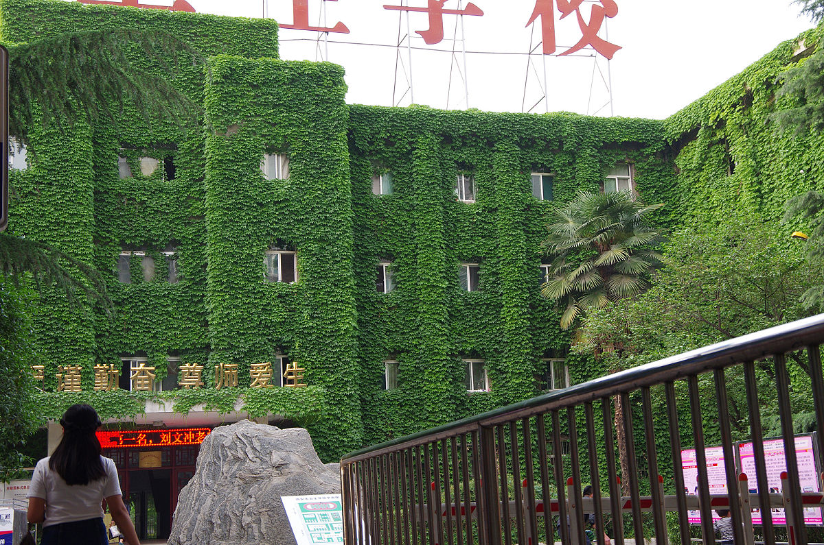 四川省卫生学校五年高职招生专业_就业情况