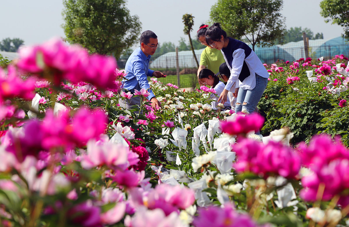 2020年贵阳新城职业学校招生简章 - 培养高技能人才的理想选择