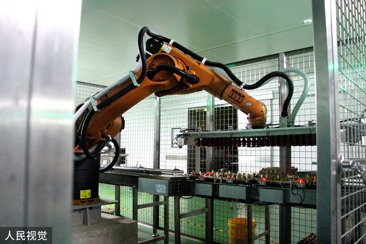 河北涿州出版业复苏: 超六成企业已复工复产