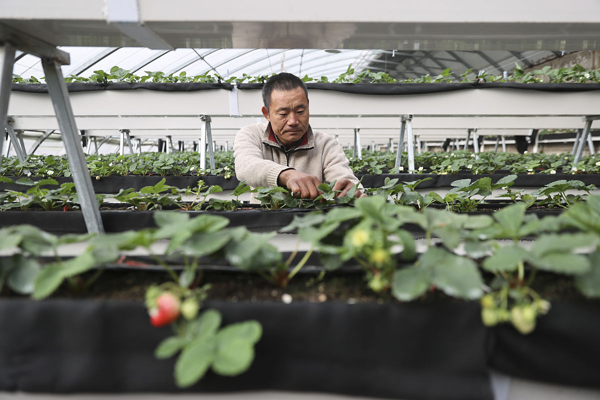 湖州现代农业技术学校好不好