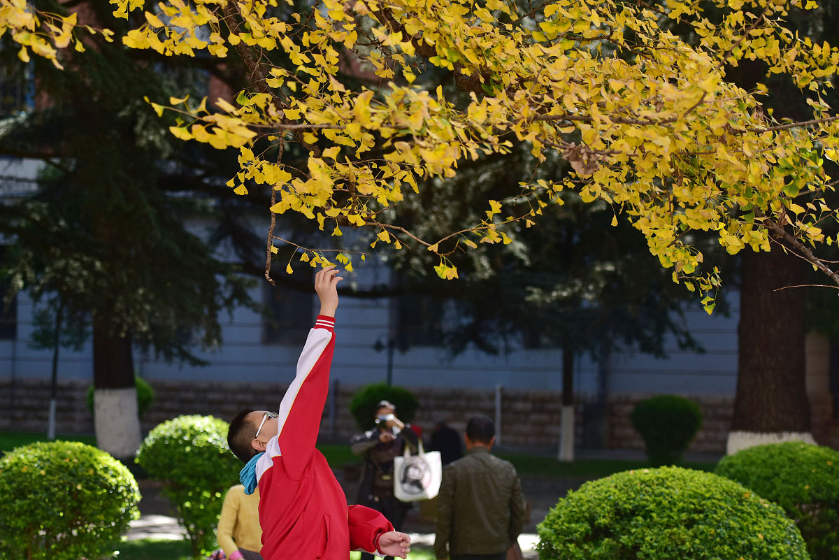 昆明医科大学官网地址及联系方式 - 医学人才培养基地