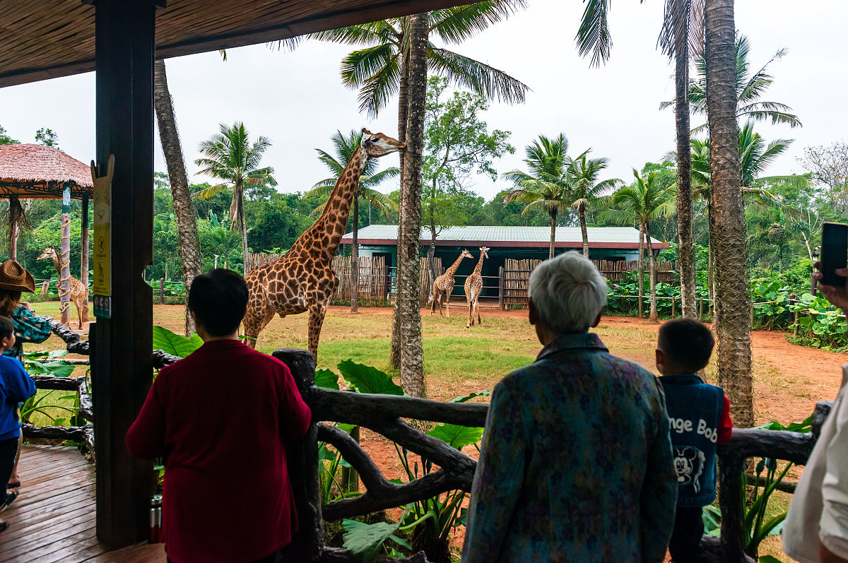 海口游记:热带野生动物园、海南热带野生动植物园和海南民俗文化村 海口游记:热带野生动物园、海南热带野生动植物园和海南民俗文化村
