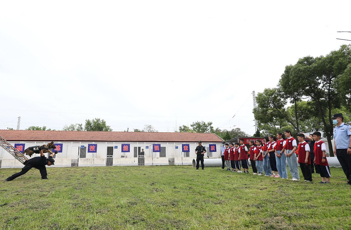 2021年5月31日,武汉铁路公安处警犬大队训导员携警犬为学生志愿者进行