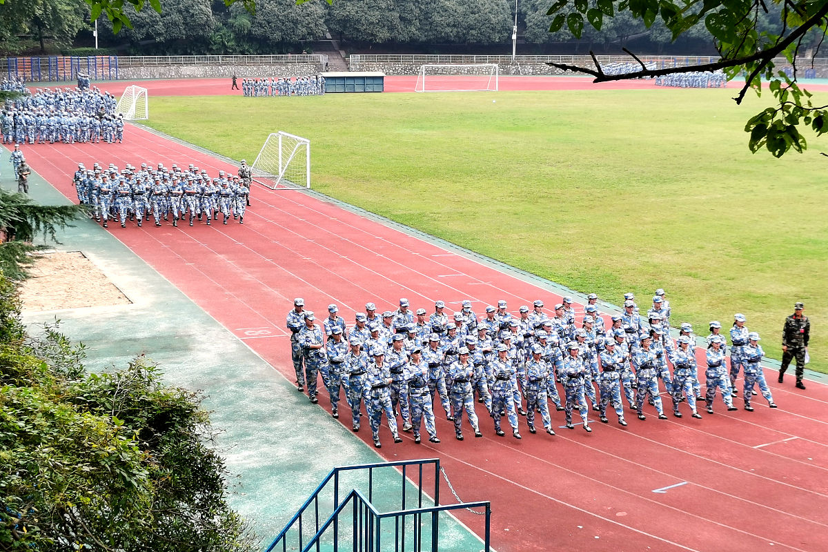 军训心得体会800字：磨砺意志，收获成长