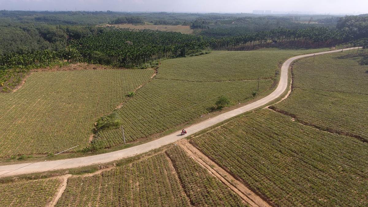 城市交通解决方案：骑行道路规划程序助力非机动车安全出行