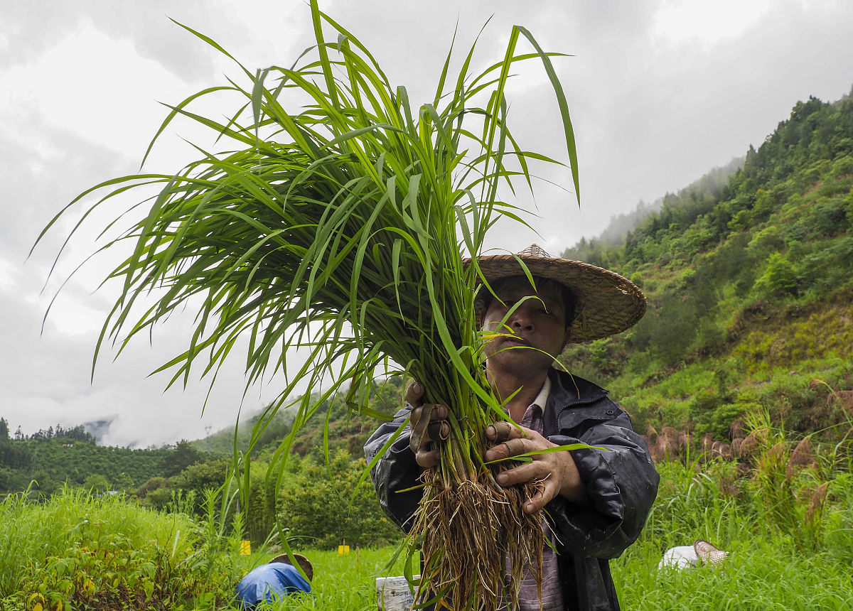 景宁职业高级中学2023年招生报名简章-好不好