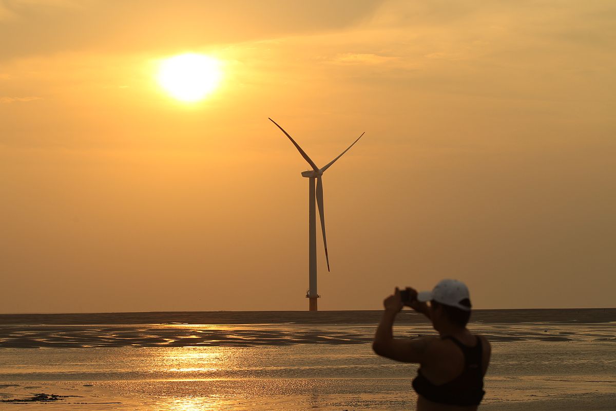 龙头电站：电力系统的主力军 - 解释、类型及重要性