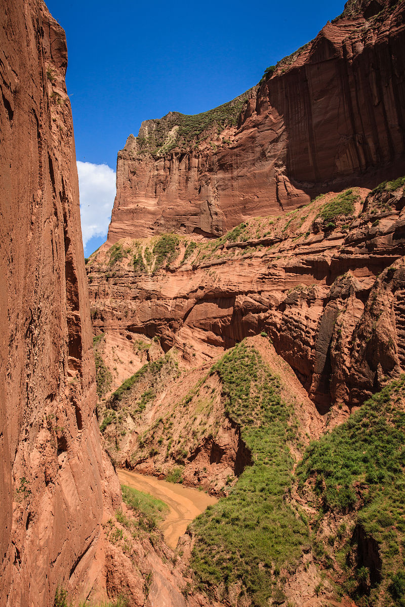 春天的早晨：阳光、花香、鸟鸣，美好的一天从这里开始