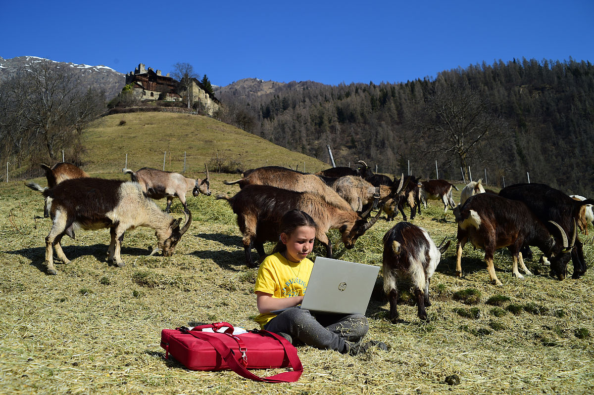 你现在的身份是论文作者请对论文《小学数学课堂即时评价的现状研究——以唐山市路北区A小学为例 》的1绪论进行撰写11 研究背景