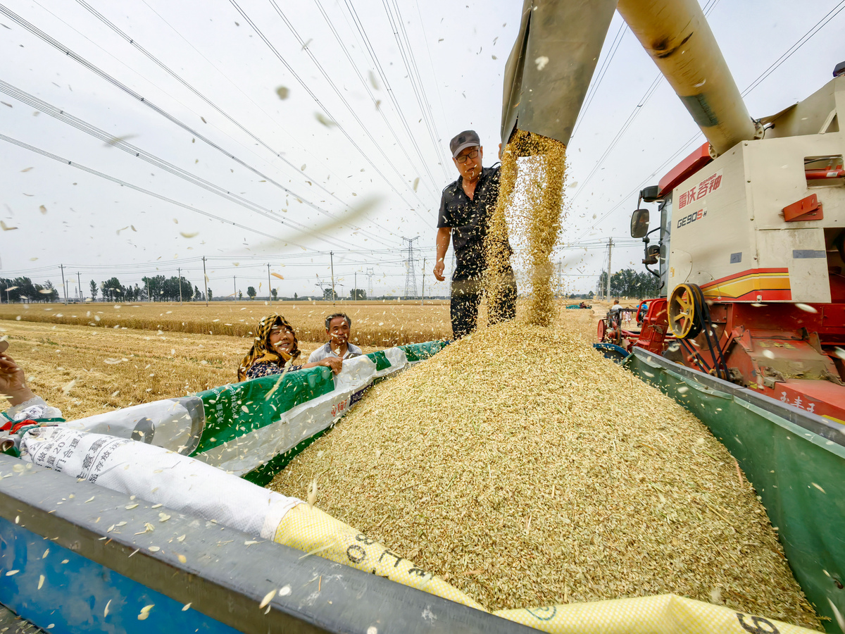 谷物储存与保鲜：挑战与趋势