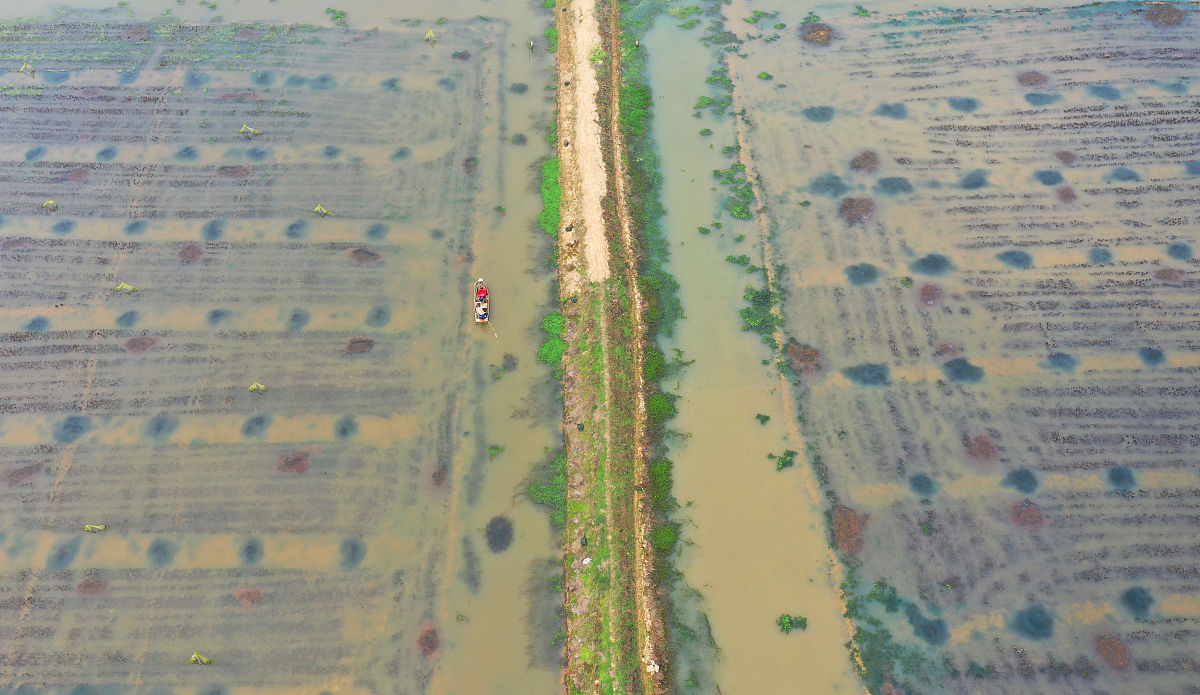 从江职业技术学校农业生产技术专业怎么样
