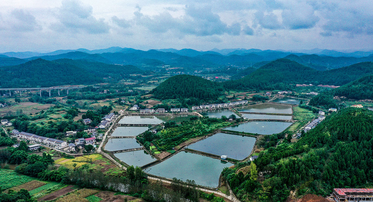 四川省绵阳农业学校机电技术应用专业就业方向