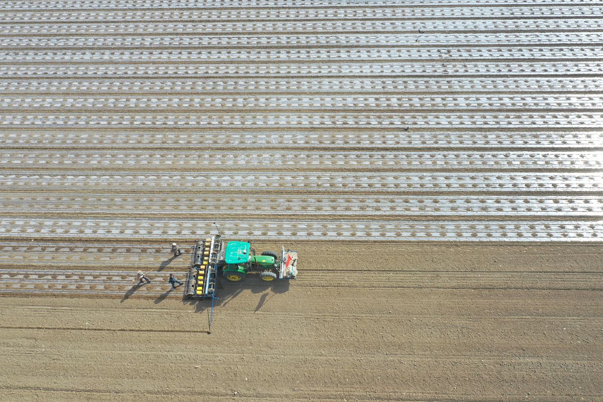 播种机下肥量公式帮我用200字详细描述