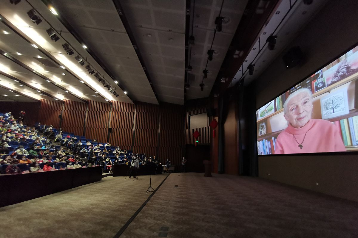 深度解读学习报告：结构清晰、内容翔实的研究典范