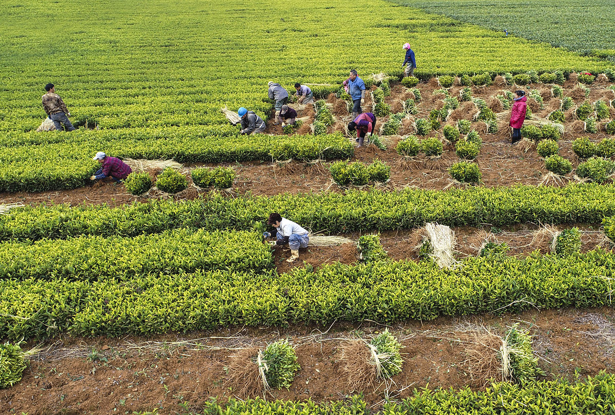 淳安育才学校2022年招生电话好麽