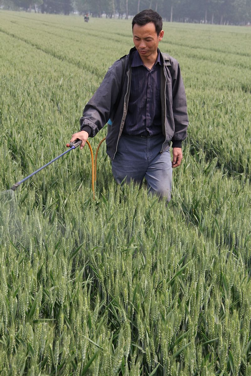 国内生产工厂统一国外农药登记授权的好处