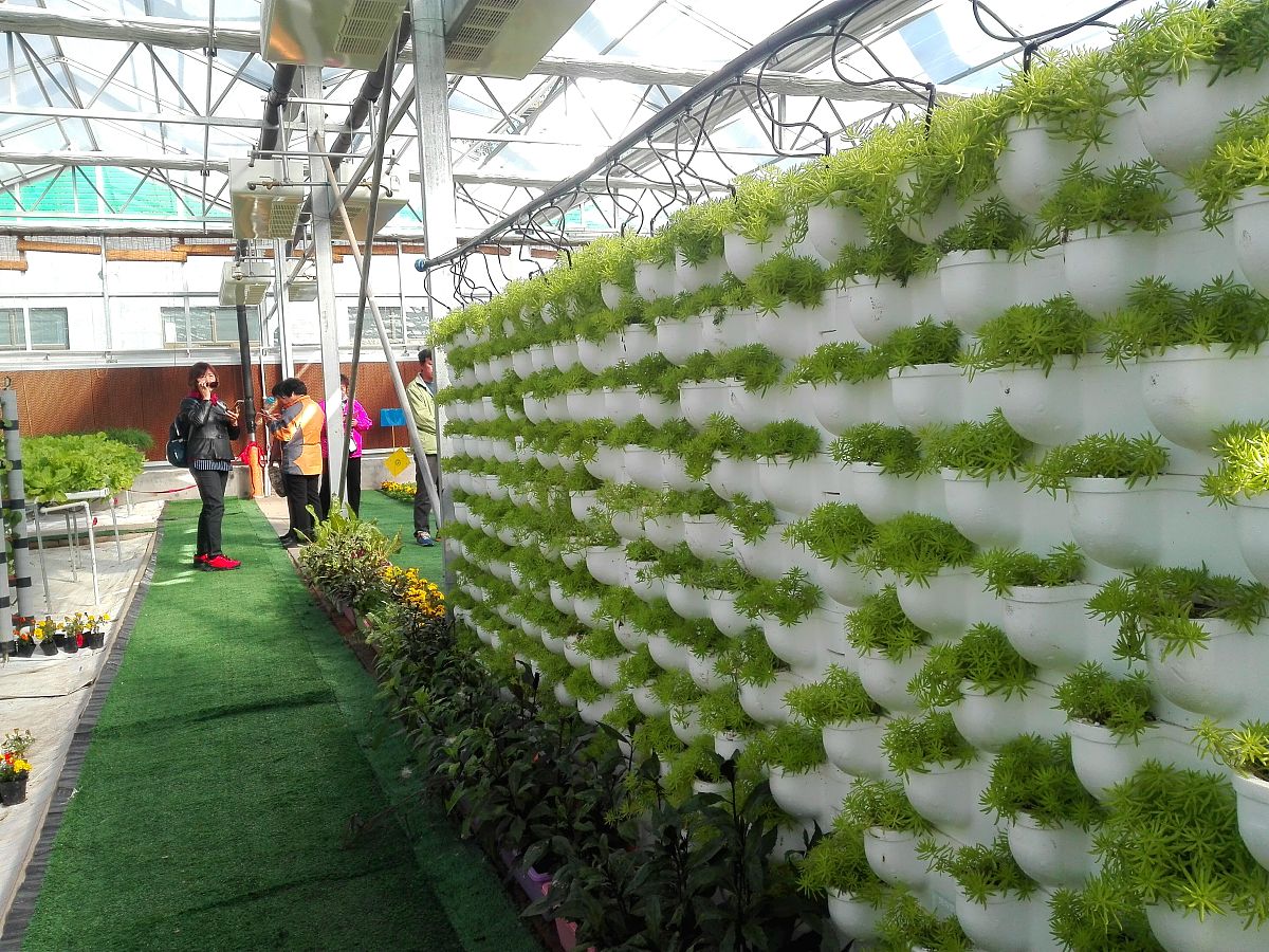 微型社区蔬菜工厂的案例