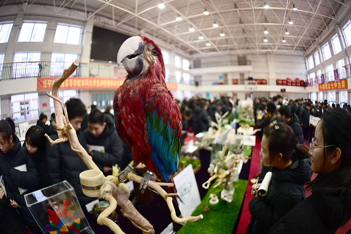 贵州商业高等专科学校保险实务专业：教学水平和就业前景