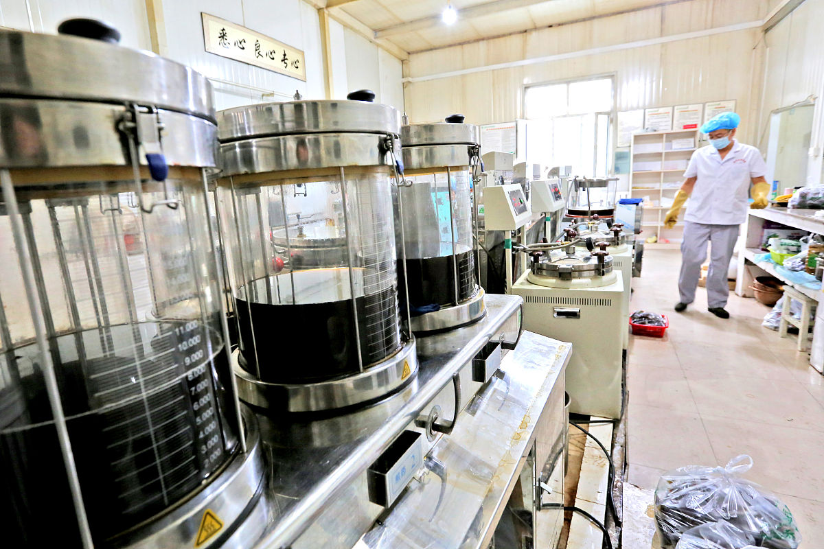 中药提取工艺详解：从原料处理到制剂