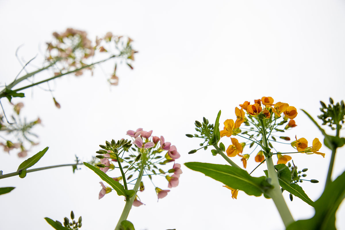 江西农业大学土木工程专业怎么样