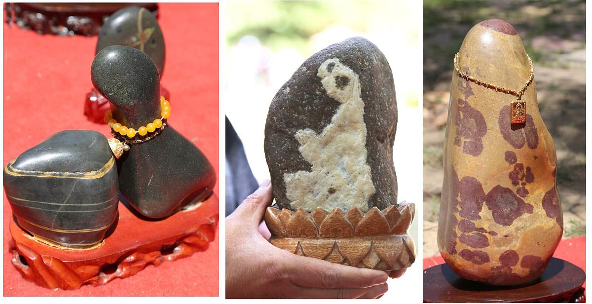 四川音乐学院附属中等艺术学校2018年招生条件