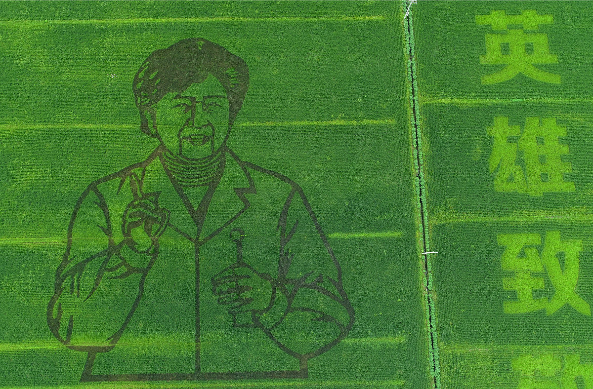 为钟南山院士写一副对联