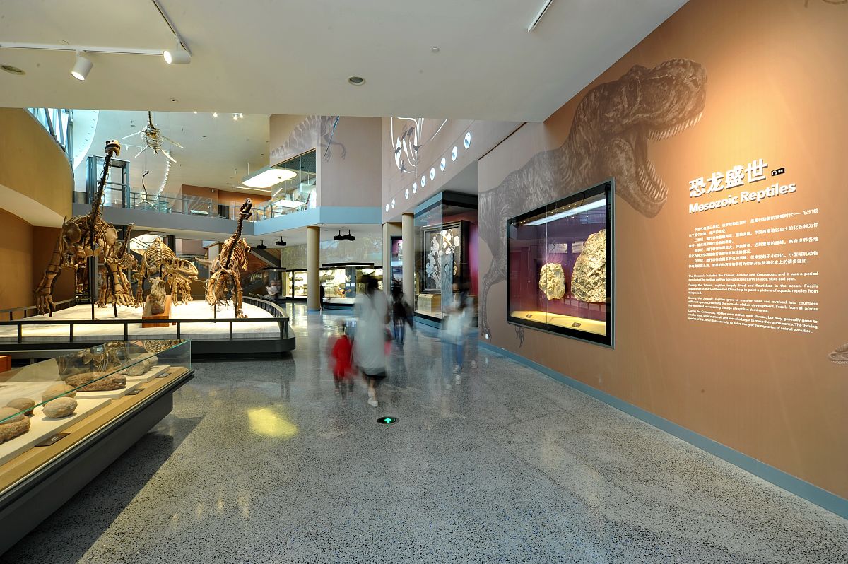 上海博物馆指南：探索魔都文化宝藏