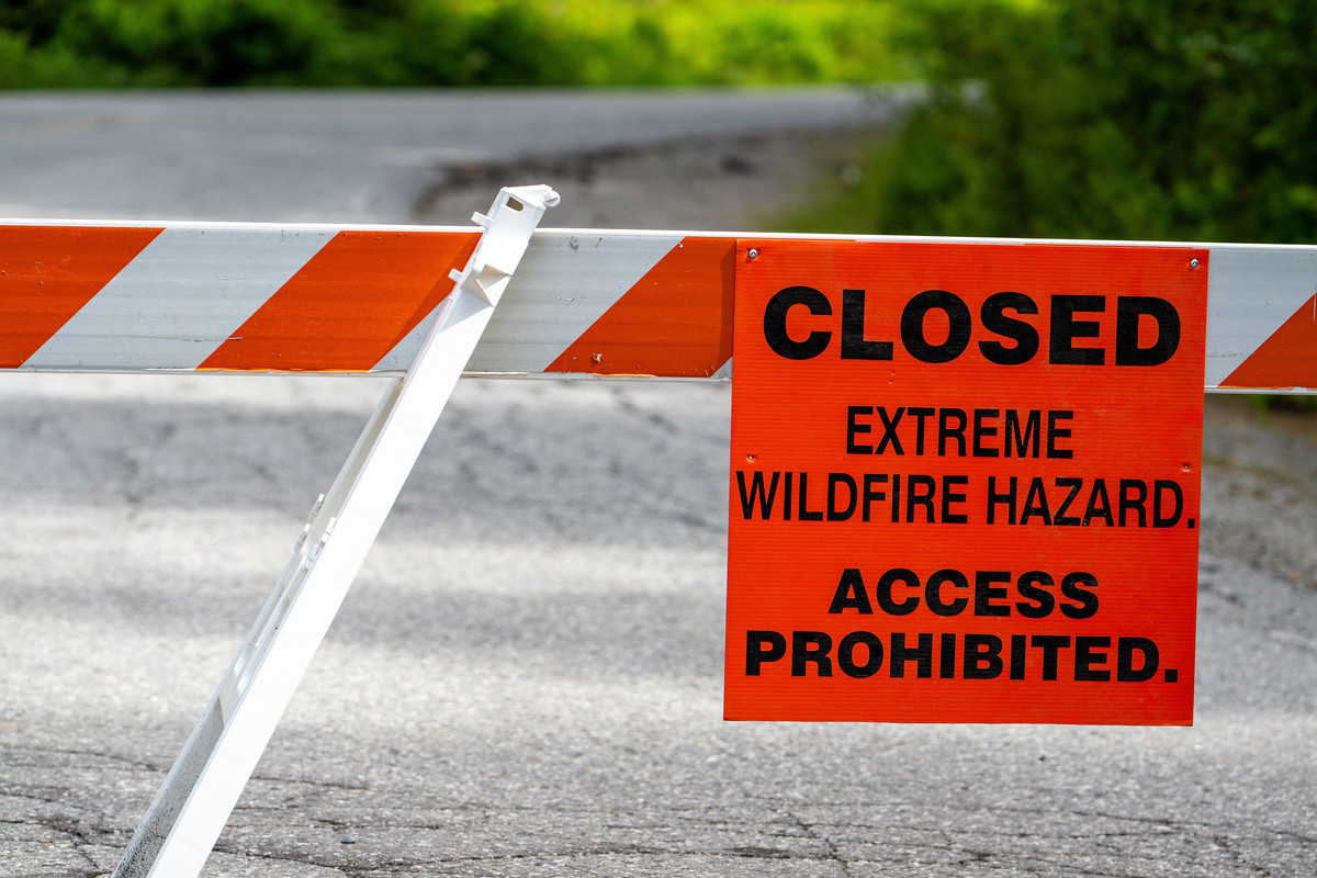 A Popular Person's Story: A Witness to a Car Accident