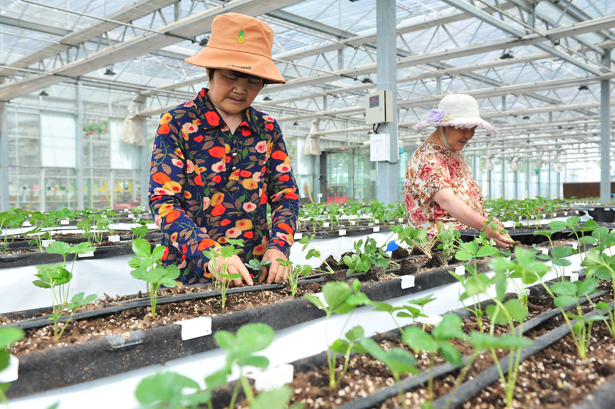 礼泉县职教中心果蔬花卉生产技术专业好不好？
